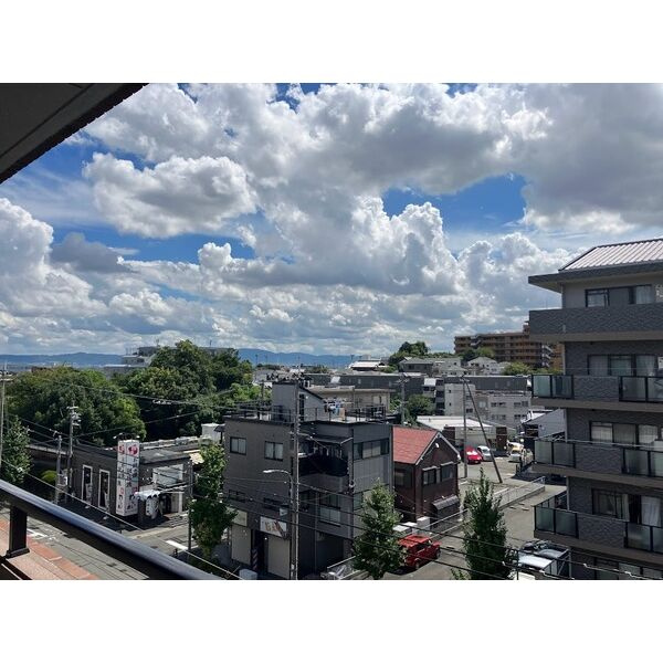 トゥールモンド森の展望