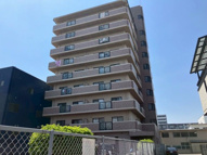 マノワールコトンの画像