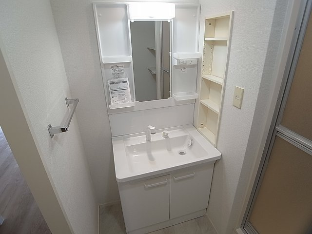 ブエナビスタ神戸ノースの洗面所|シャンプードレッサーの独立洗面台