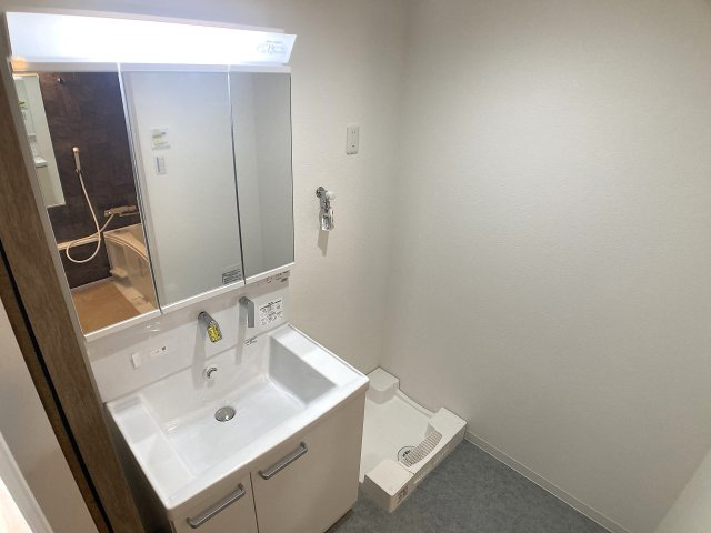 ウィングパレスの洗面所|シャワー付きの3面鏡洗面台、脱衣所も広いです