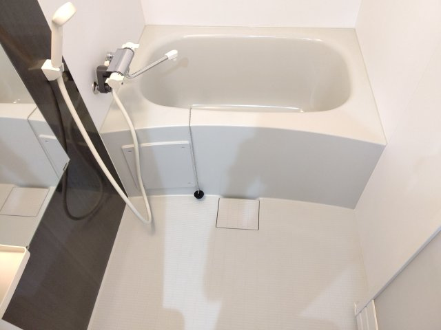 Ｒｅｓｉｄｅｎｃｅ　ＨＩＮＯＤＥⅡの浴室