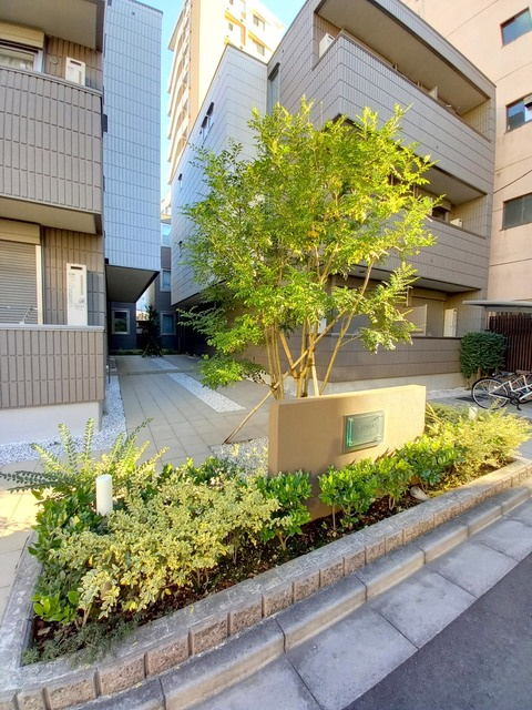 シャンス根岸ノースコートのその他|植栽