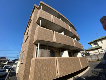 Periquito（ペリキート）の画像