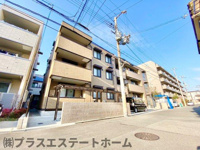 ブル・マリーノ衣掛の画像