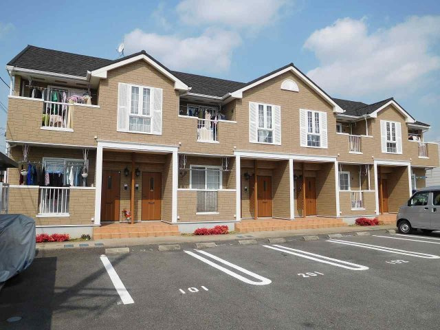 サンライズパイン