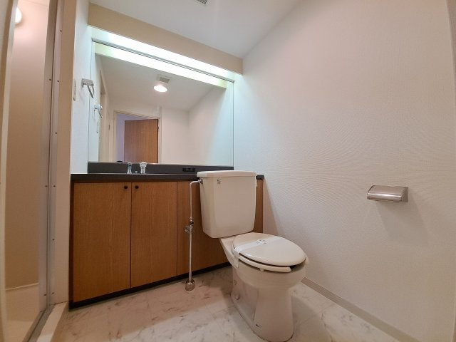 ソフィア武庫川の洗面所