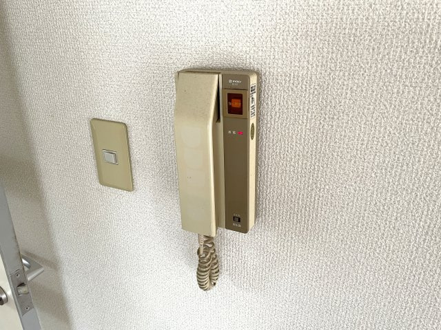 さいたま市桜区西堀２丁目の賃貸マンションのセキュリティ