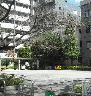 LiveFlat高田馬場の周辺