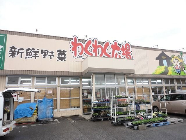 パルムドールのその他