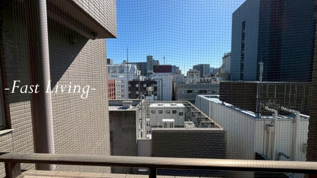パレステュディオ麹町の展望