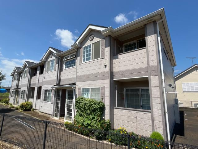 キャロット・ガーデン