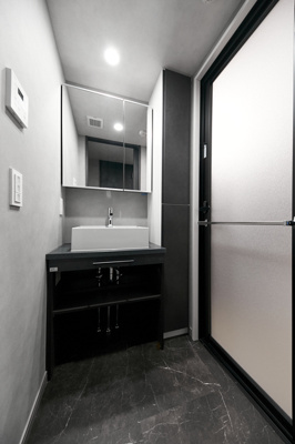 【洗面所】 | アリビオ学芸大学 | ※写真は同タイプ住戸です。