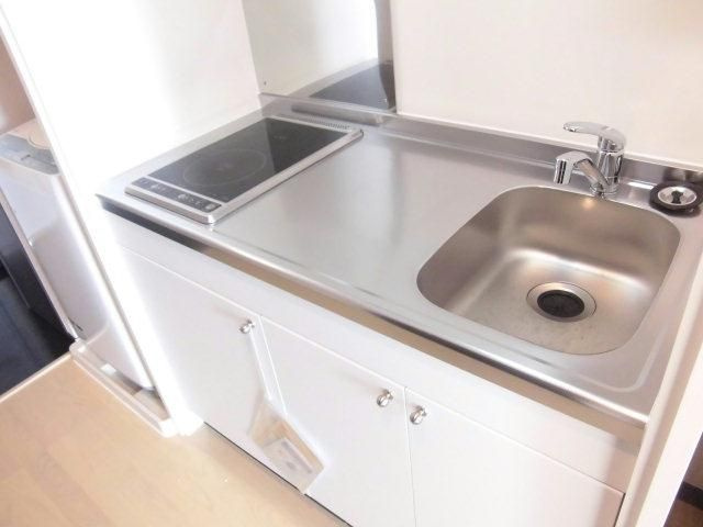 レオネクストやまとⅢの浴室