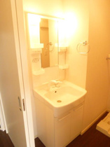 忙しい朝には欠かせない洗面所です
