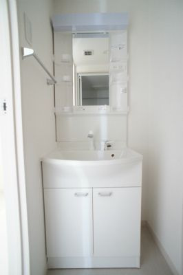 リブリプロタゴニストの独立洗面台