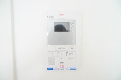 リブリプロタゴニストのセキュリティ