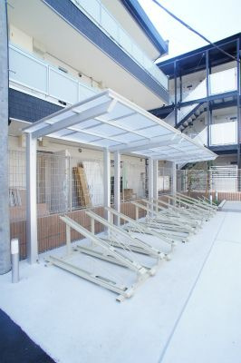 リブリプロタゴニストのその他