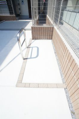 リブリプロタゴニストのその他