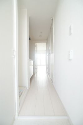 リブリプロタゴニストの玄関