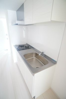 リブリプロタゴニストのキッチン