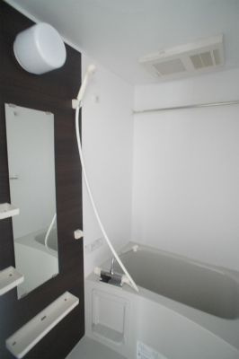 リブリプロタゴニストの浴室