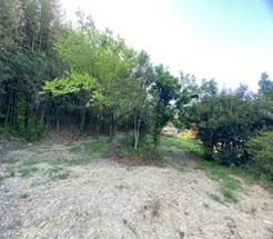 売土地　園町のその他