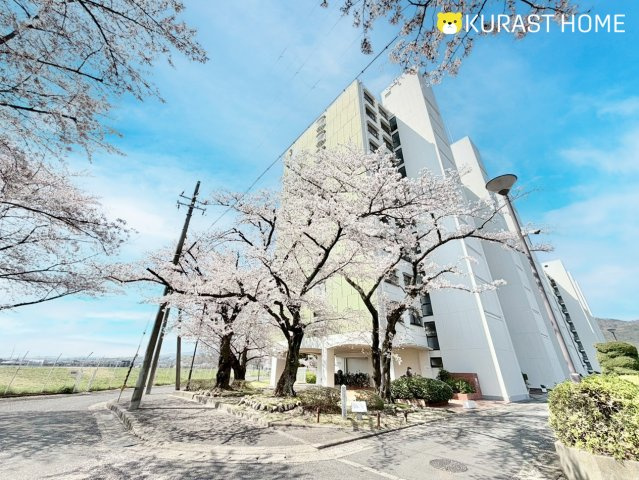 嵐山ロイアルハイツ3号棟　4階