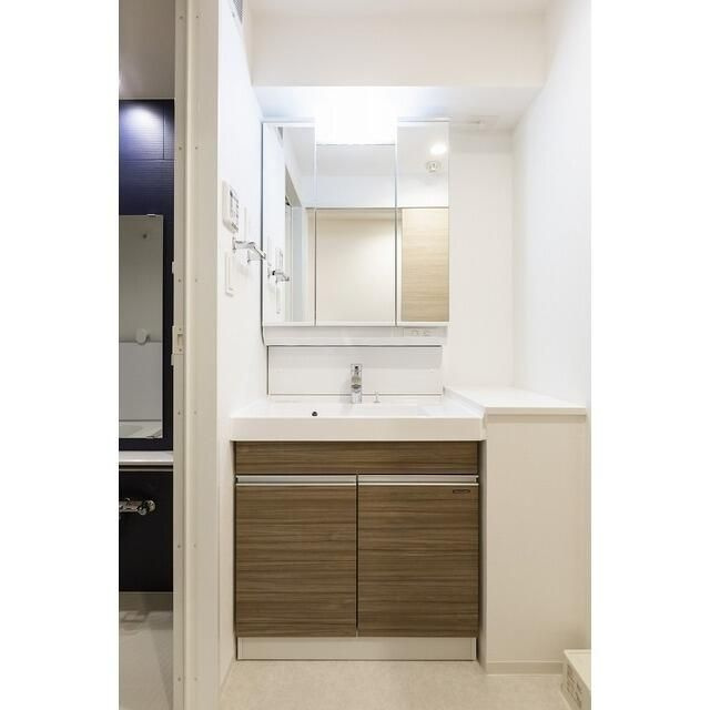 ＬＩＢＲ　ＧＲＡＮＴ世田谷等々力の洗面所|■独立洗面台■キャビネット収納付き