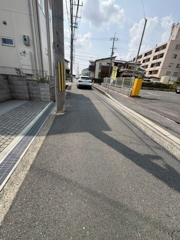 マンダリーヌの周辺