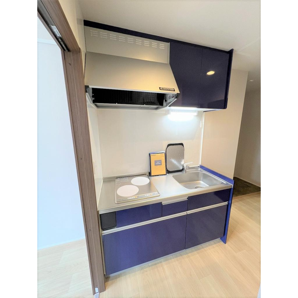 ウィステリアＡのキッチン|※写真は101のもの