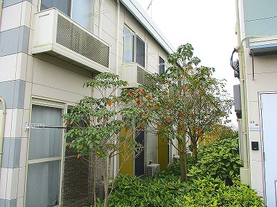 レオパレス土浦Aのバルコニー