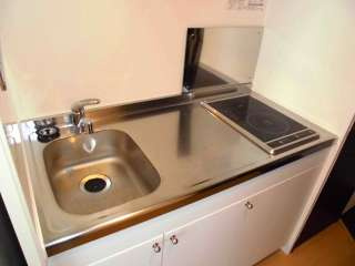 レオネクストボナールドミールのキッチン|画像7