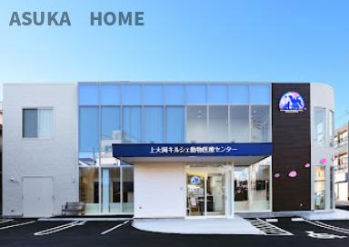 南区大岡4丁目戸建のその他|上大岡キルシェ動物医療センターが９００ｍでございます。