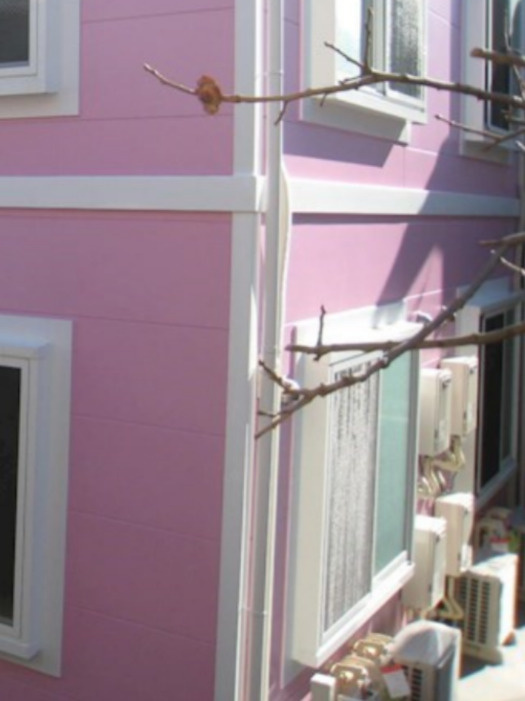 シエスタミントのその他共用部分