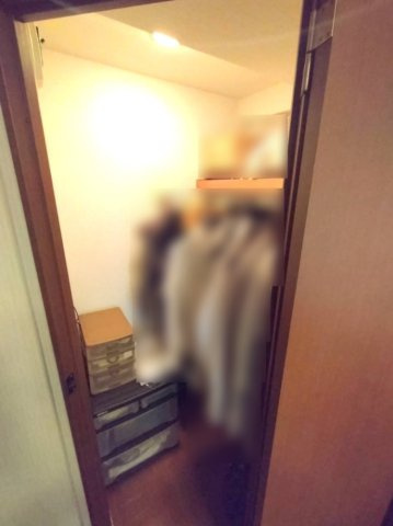 ルネ大宮宮原の収納|洋室ウォークインクローゼット、広く使えて収納性あり。