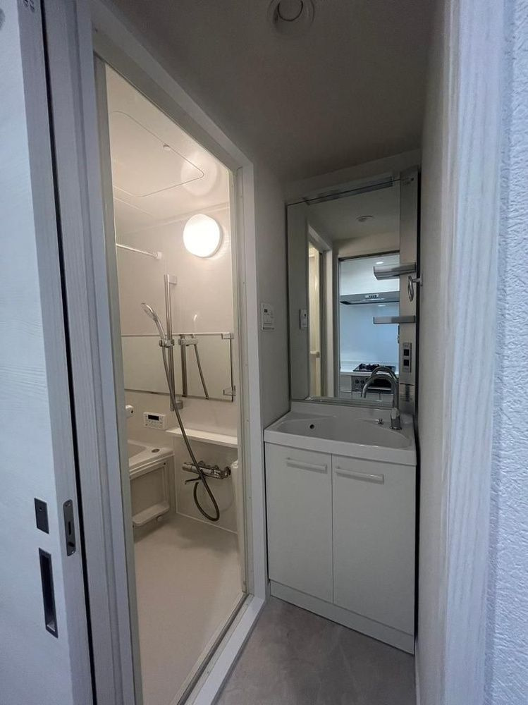 カーサ錦糸町の洗面所