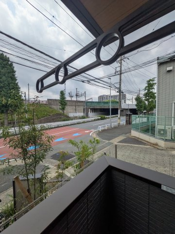 Craspediaの展望