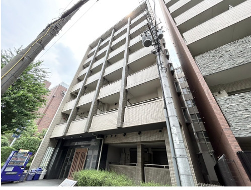 ステラ・ランド