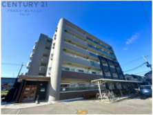 エクセランの画像