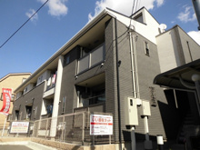 ロータスの画像