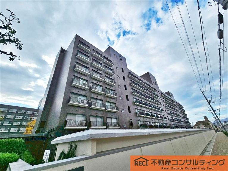 メゾン甲子園の外観|南向き陽当たり良好