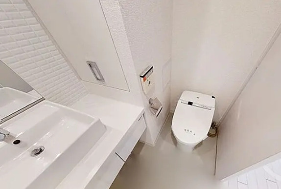 カスタリア菊川の洗面所