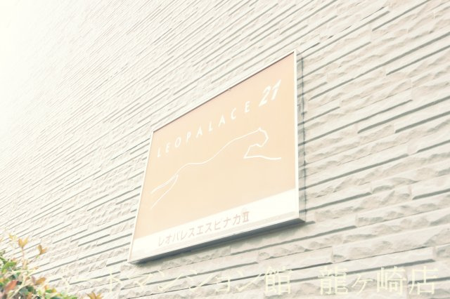 レオパレスエスピナカⅡのエントランス