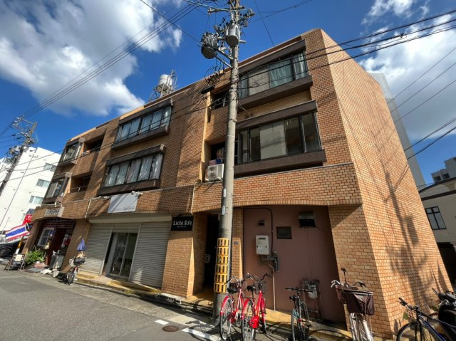Licht 金山