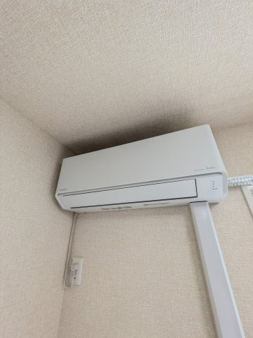 Craspediaの設備