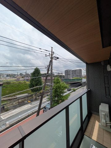 Craspediaの展望