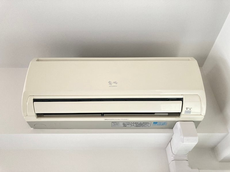 パラシオ　エステレーラのその他