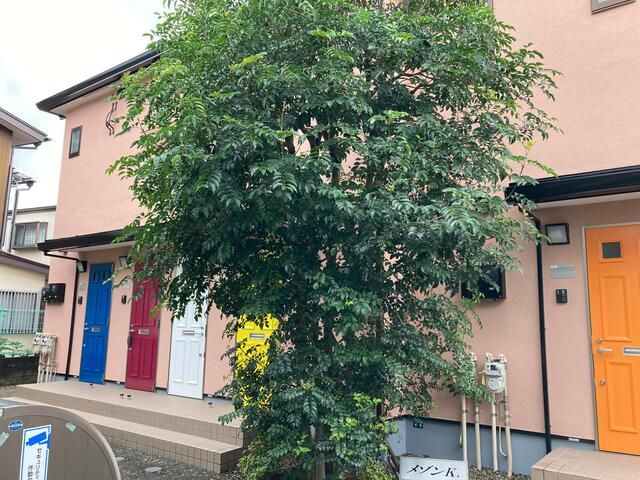 メゾンＫの外観