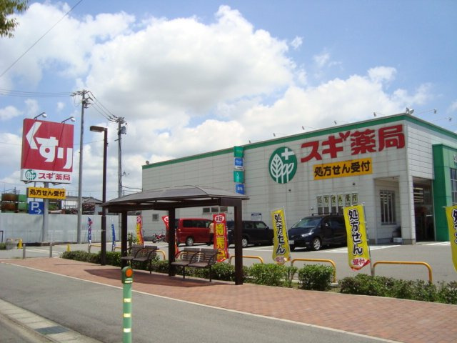 レジデンス　H＆Kの周辺|スギ薬局中島店まで459ｍ