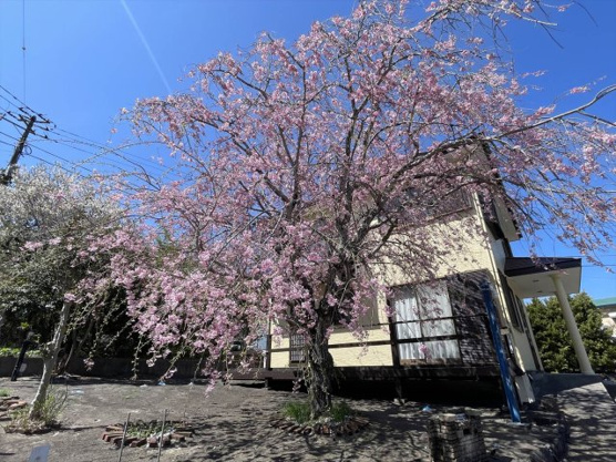 【その他】 | 大室高原別荘地　戸建